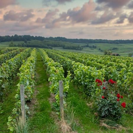 Avize Maison De Champagne F.Barbier ! מראה חיצוני תמונה